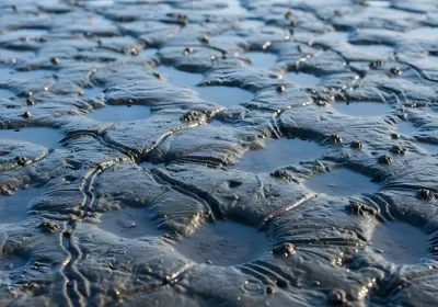 Imagen PNG para descargar